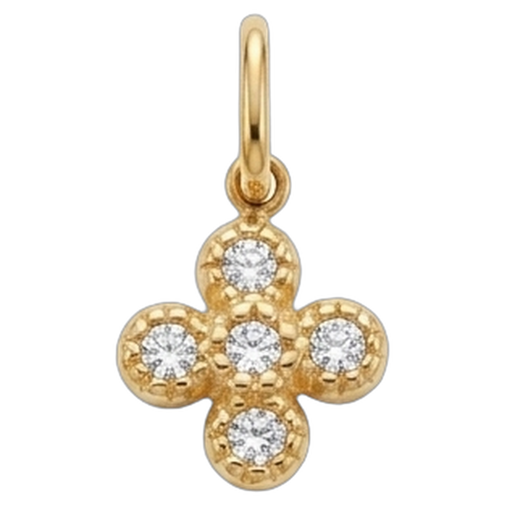 CHARMS