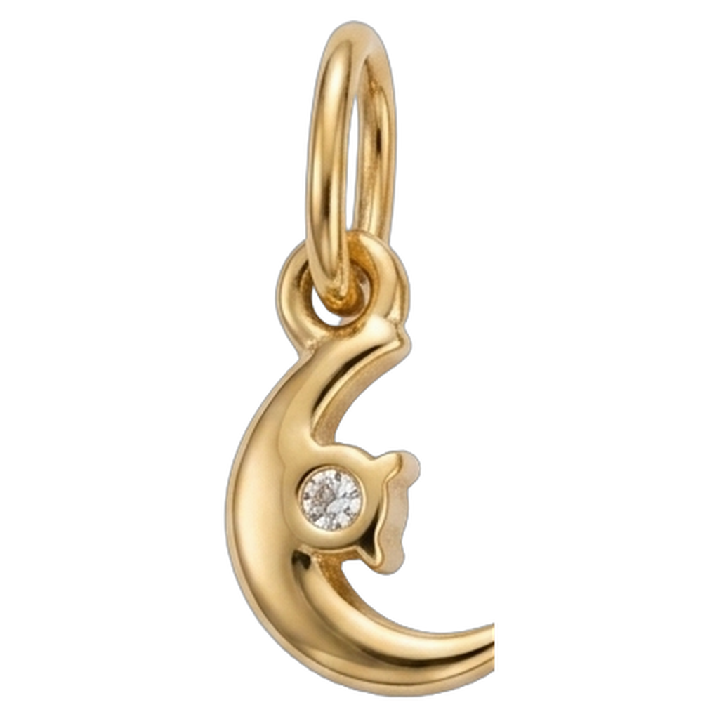 CHARMS