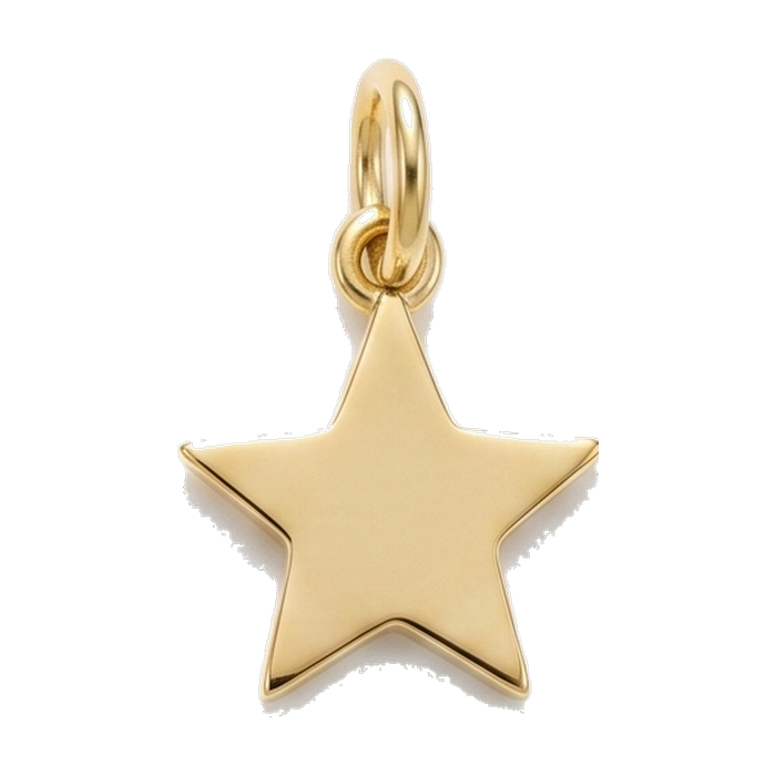 CHARMS — vue 5