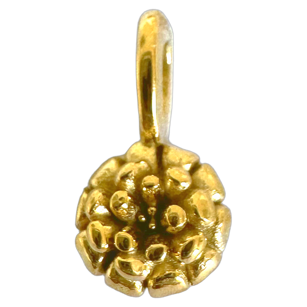 CHARM’S - Fleurs de naissance