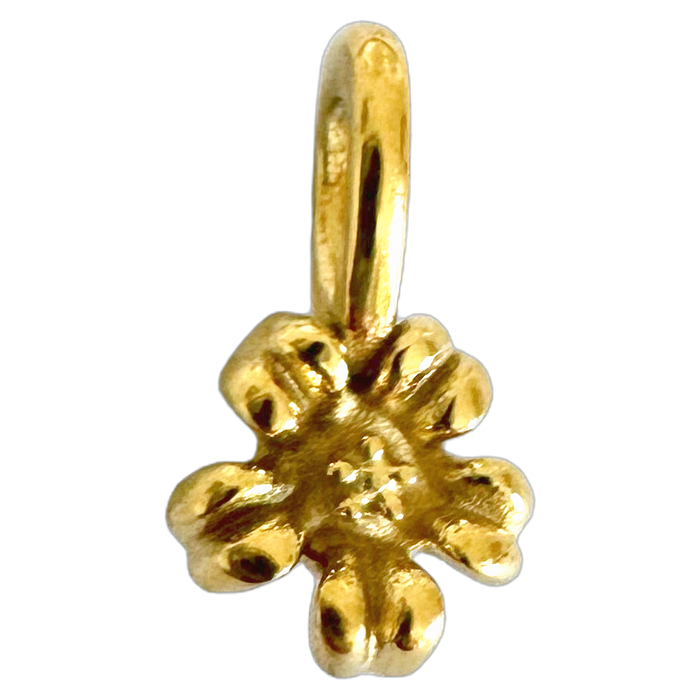 CHARM’S - Fleurs de naissance — vue 4