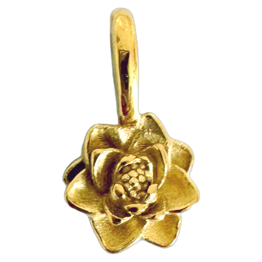 CHARM’S - Fleurs de naissance