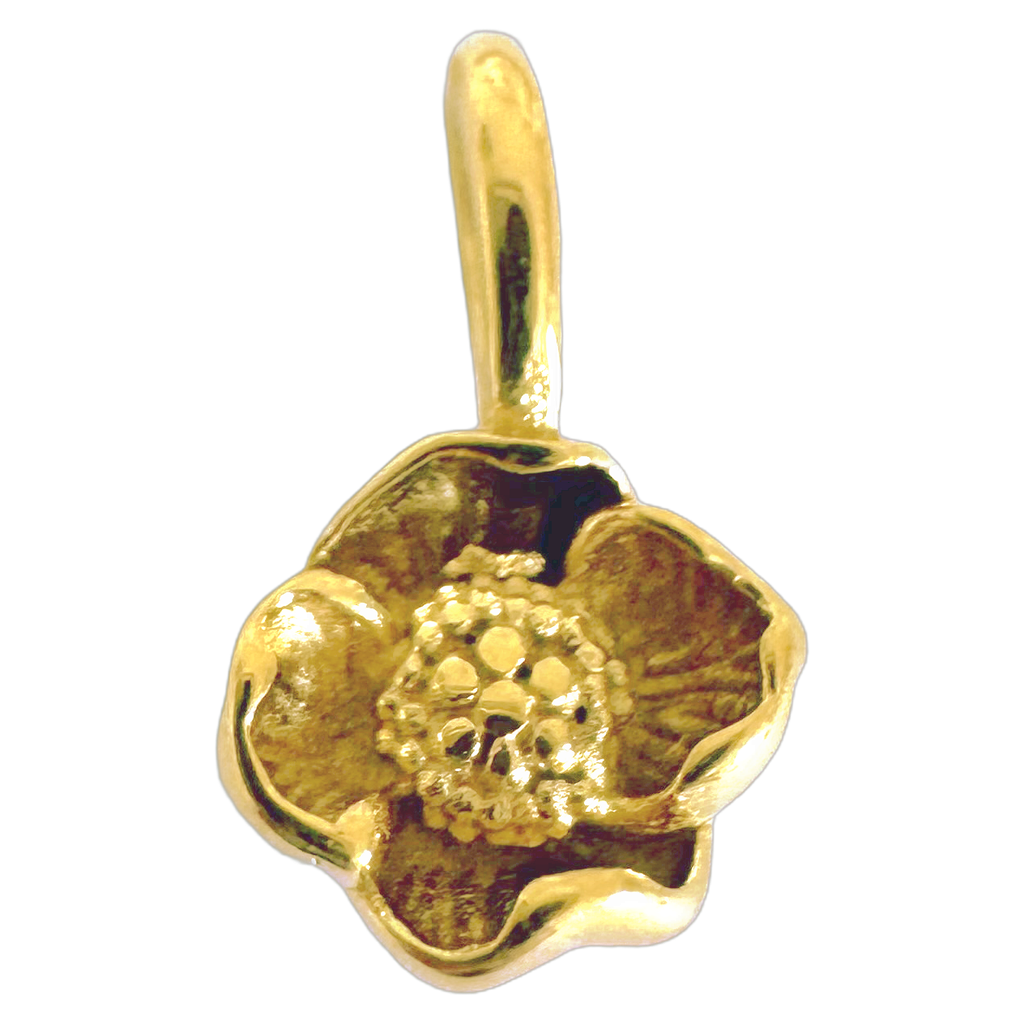 CHARM’S - Fleurs de naissance